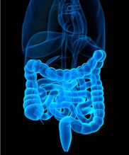 537281_10151274079282776_287692821_n